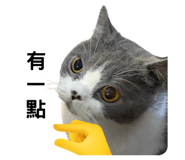 857107850