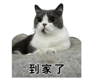 857107863