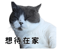 857107868