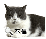 857107871