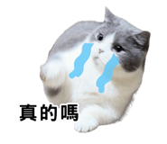 857107872