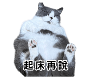 857107878