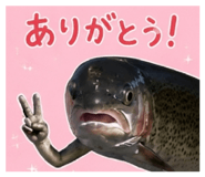 857110758