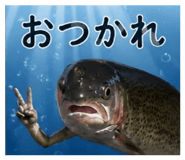 857110760