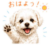 857111057