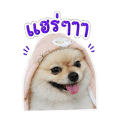 857113301