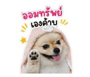 857113303