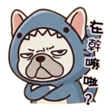 857113397