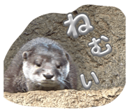 857114709