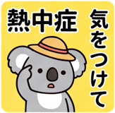857116605