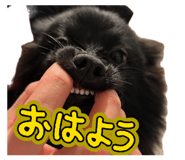 857117469