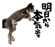 857117946
