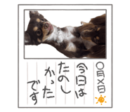 857117949