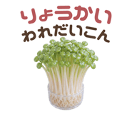 857118402