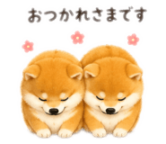 857119434