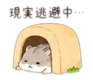 857120079