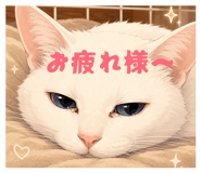 857120414