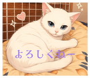857120416