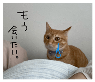 857120986