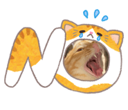 857120990
