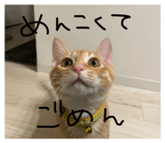 857121003