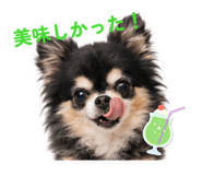 857121239