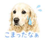 857121350