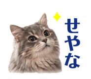 857121457