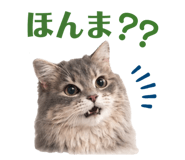 857121460