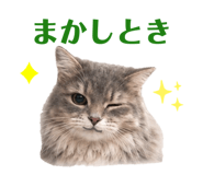 857121462
