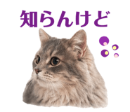 857121463