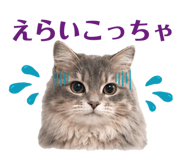 857121465