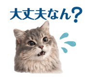 857121466