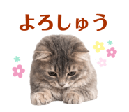 857121470