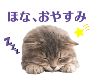 857121472