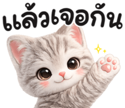 แมวสลิด สีเทา รูปที่ 4