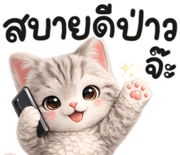 แมวสลิด สีเทา รูปที่ 7