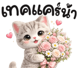 แมวสลิด สีเทา รูปที่ 10
