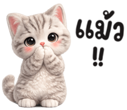 แมวสลิด สีเทา รูปที่ 12