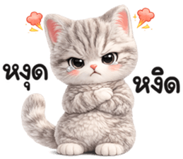 แมวสลิด สีเทา รูปที่ 13