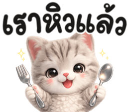 แมวสลิด สีเทา รูปที่ 16