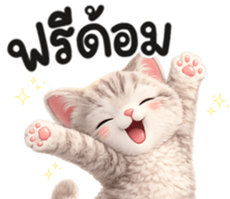 แมวสลิด สีเทา รูปที่ 17