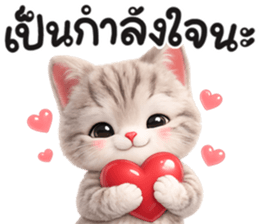 แมวสลิด สีเทา รูปที่ 18