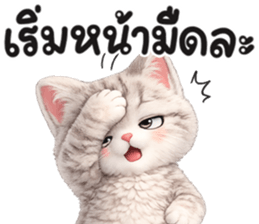 แมวสลิด สีเทา รูปที่ 20