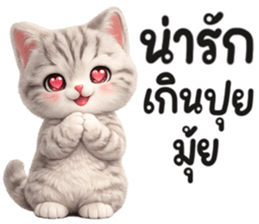 แมวสลิด สีเทา รูปที่ 22