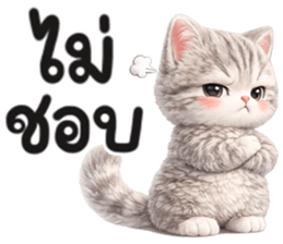 แมวสลิด สีเทา รูปที่ 23