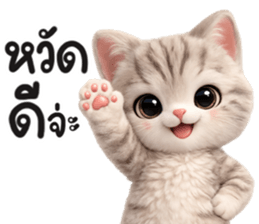 แมวสลิด สีเทา รูปที่ 27