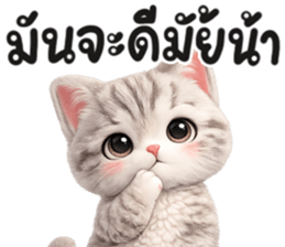 แมวสลิด สีเทา รูปที่ 29
