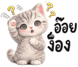 แมวสลิด สีเทา รูปที่ 31