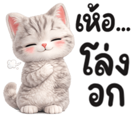 แมวสลิด สีเทา รูปที่ 32